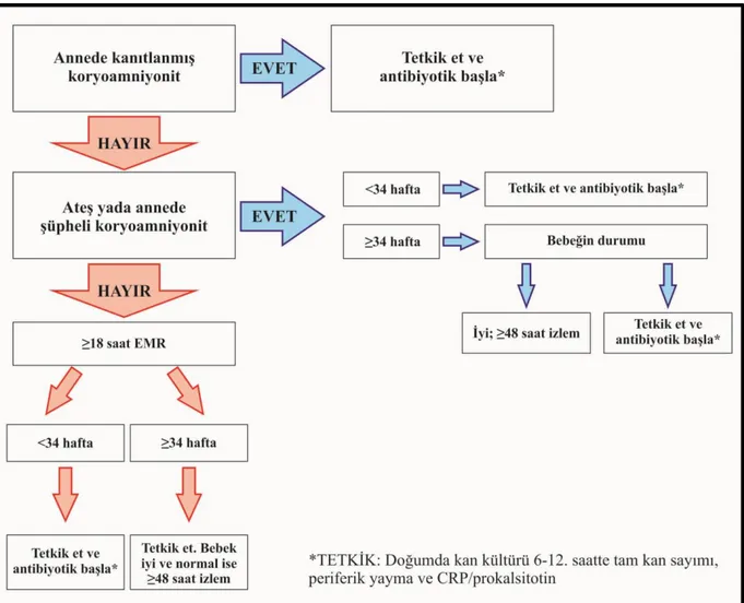 Şekil 1. Belirtisi olmayan, erken sepsis risk etmeni bulunan bebeğe yaklaşım(6) 