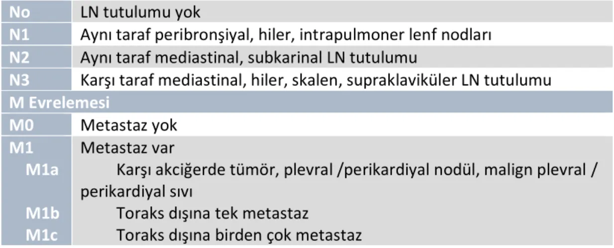 Tablo 7. 8. TNM’de Evreler. 