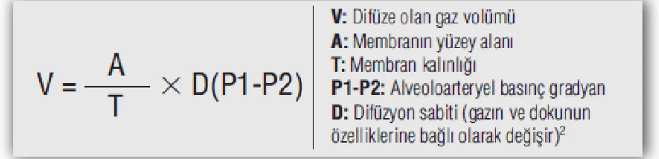 Tablo 5: Fick yasasına göre difüzyon formülü 