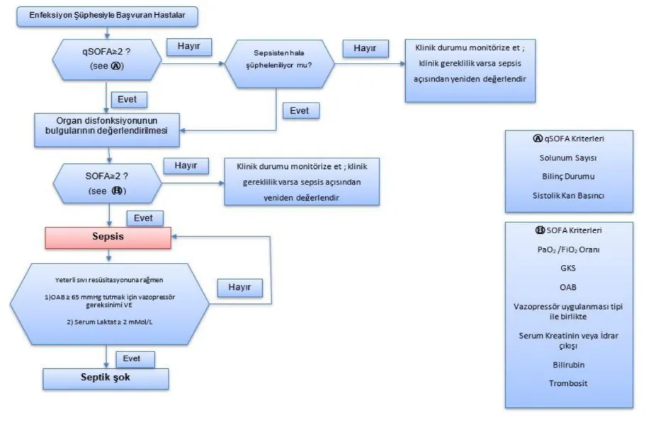 Şekil 3: SCM ve ESICM tarafından önerilen Sepsis ve Septik Şok Hastasına Yaklaşım Şeması 