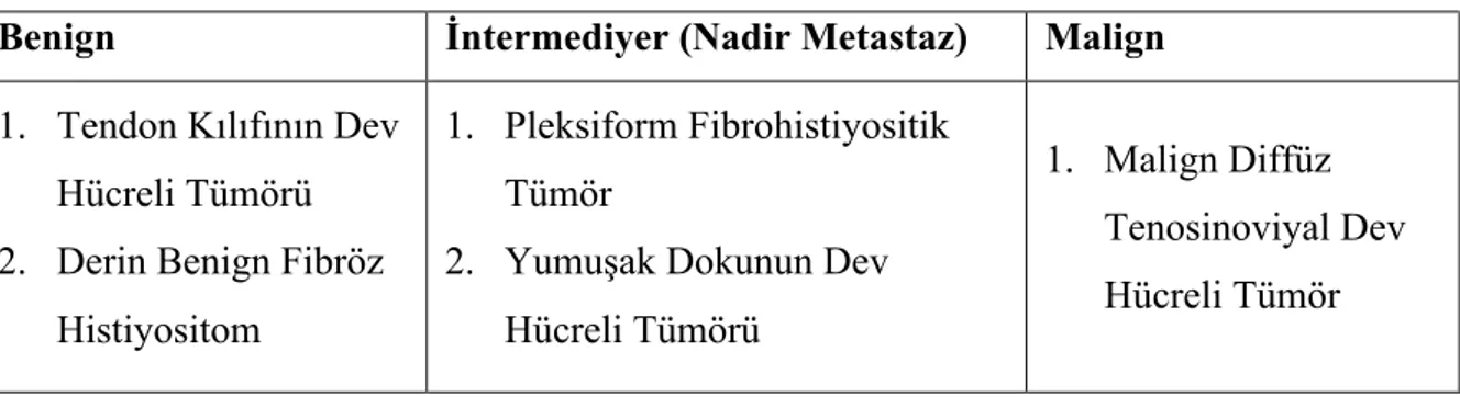Tablo 9. DSÖ 2013 Perivasküler Tümörler Sınıflandırması 