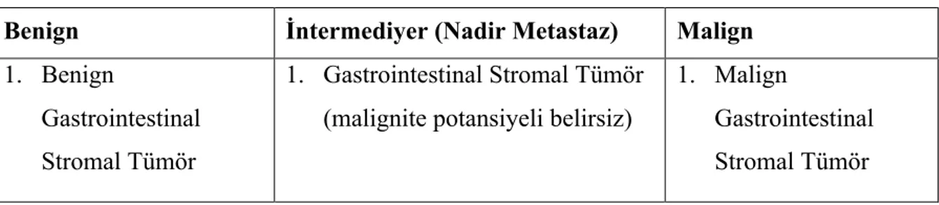 Tablo 13. DSÖ 2013 Kondro-Osseöz Tümörler Sınıflandırması 