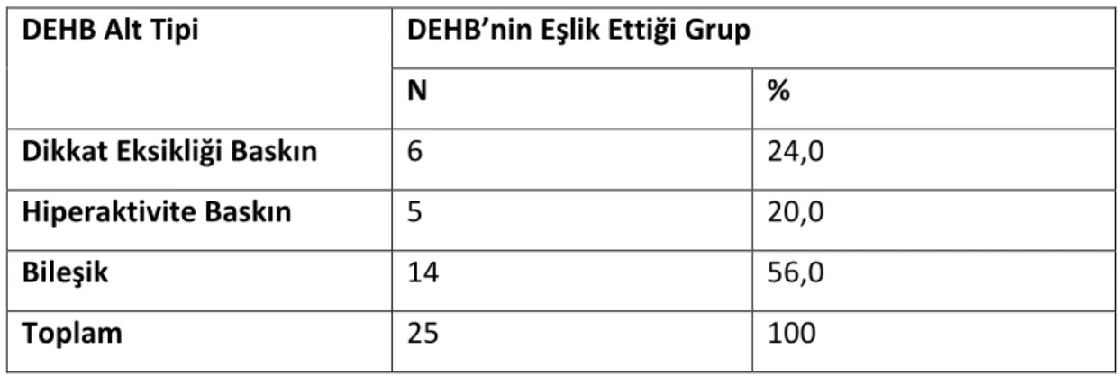 Tablo 13. ÜH Grubunda İlaç Tedavisi 