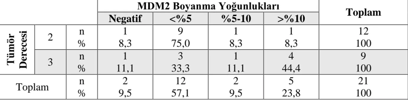 Tablo  16:  Dediferansiye  liposarkom  olgularında  farklı  tümör  derecelerindeki  MDM2  boyanma yoğunlukları  MDM2 Boyanma Yoğunlukları  Toplam  Negatif  &lt;%5  %5-10  &gt;%10  Tümör Derecesi 2  n  %  1  8,3  9  75,0  1  8,3  1  8,3  12  100 3 n  %  1  