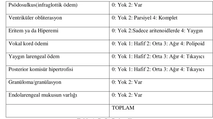 Tablo 1: Reflü Bulgu Skoru 