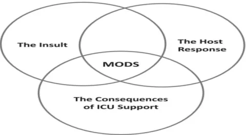 Şekil 4: MODS’ta 3 değişken faktör arasında dinamik etkileşim 