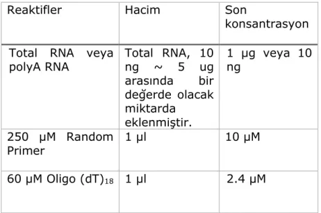 Tablo 4: RNA-Primer karışımı hazırlanması 