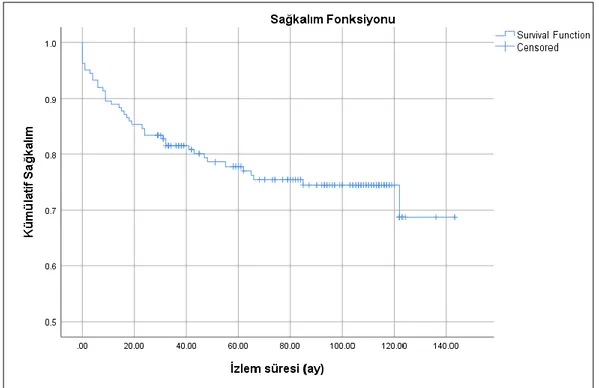 Şekil 10: Kaplan- Meier genel sağkalım analizi 