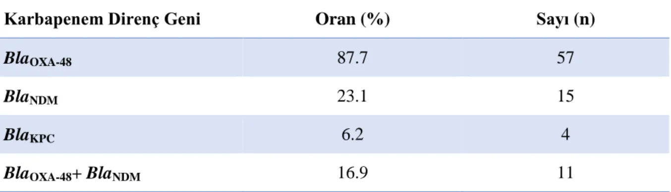 Tablo 6. Karbapenem direnç genlerinin dağılımı 