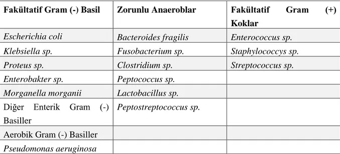 Tablo 3. Ġntraabdominal kaynaklı sepsislerde sıklıkla karĢılaĢılan etkenler 