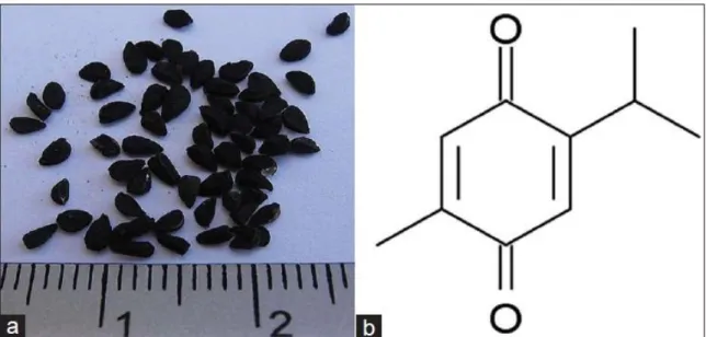 Şekil 3 a:Timokinonun içinde bulunduğu çörekotu bitkisinin tohumları. b:Timokinonun kimyasal yapısnın şematik  görüntüsü (71) .