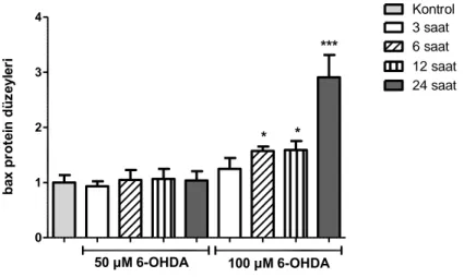 Şekil 9 6-OHDA uygulaması sonucu bax protein düzeylerinin zamana bağlı değişimi (*: 6- 6-OHDA’nın kontrole göre Bax protein düzeyini anlamlı arttıtrdığı (p&lt;0.05) doz 100 µM bulundu  ve bu artışı 6 ve 12 saat uygulamada gösterebildi.)(***: Aynı dozda 24 