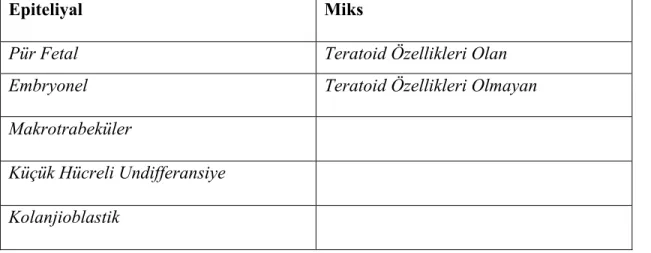 Tablo 2.2 Hepatoblastom histolojik alt tipleri 