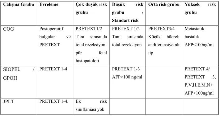 Tablo 2.3 Çalışma gruplarına göre risk grupları  