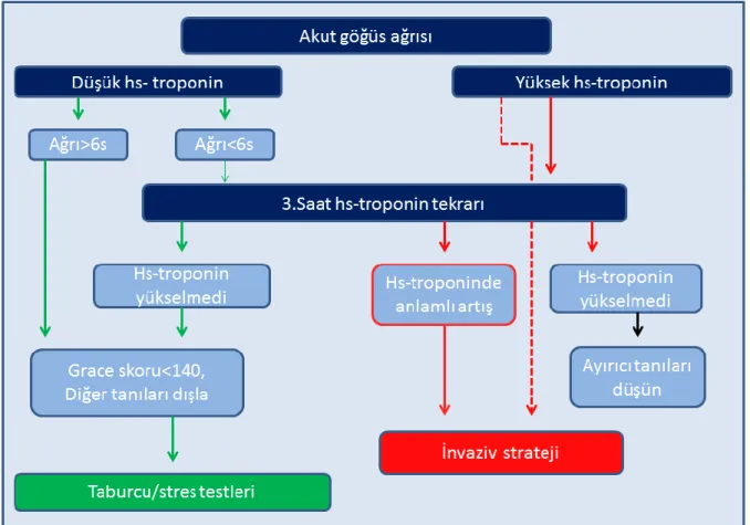 ġekil 4. Akut koroner sendromda  yüksek duyarlıklı troponin algoritması  