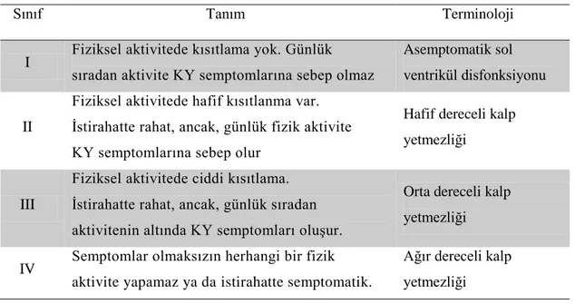 Tablo 2.3. NYHA göre kalp yetersizliği semptom sınıflaması (19)  