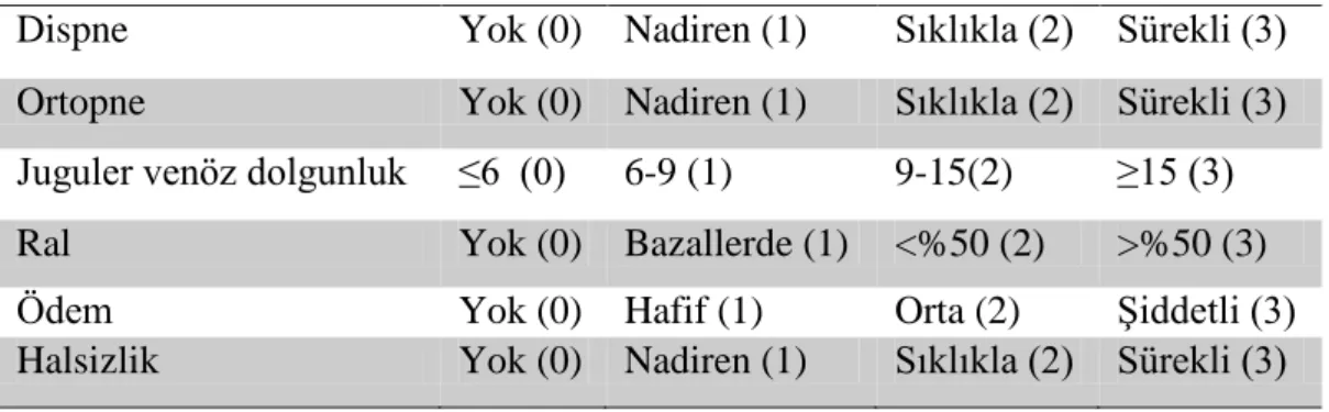 Tablo 2.8. EVEREST skoru (31) 