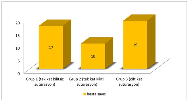 Şekil 6. Çalışmaya dahil edilen hastaların sayısal olarak gruplara dağılımı 