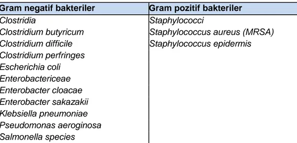 Tablo 1.  NEK’de üreyen patojenik bakteriler Gram negatif bakteriler  Gram pozitif bakteriler 