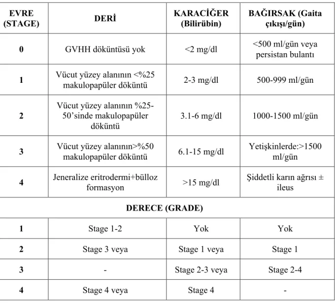 Tablo 8: Akut greft versus host hastalığında derecelendirme ve evrelendirme [7]  EVRE  (STAGE)  DERİ  KARACİĞER (Bilirübin)  BAĞIRSAK (Gaita çıkışı/gün)  0  GVHH döküntüsü yok  &lt;2 mg/dl  &lt;500 ml/gün veya  persistan bulantı  1  Vücut yüzey alanının &l