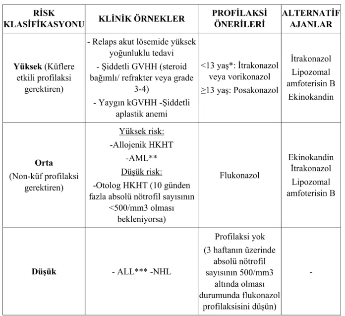 Tablo 15: Çocuklarda antifungal profilaksi önerileri   RİSK  KLASİFİKASYONU  KLİNİK ÖRNEKLER  PROFİLAKSİ ÖNERİLERİ  ALTERNATİF AJANLAR  Yüksek (Küflere  etkili profilaksi  gerektiren) 