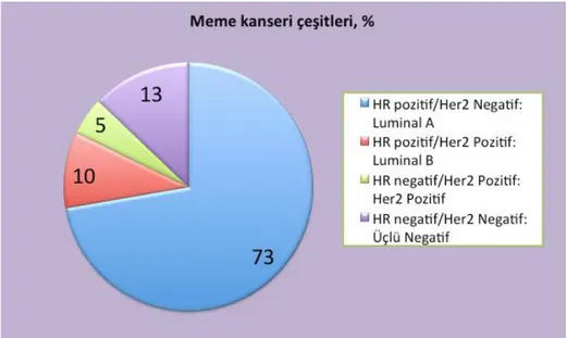 Şekil 10: Meme Kanseri Sınıflama 