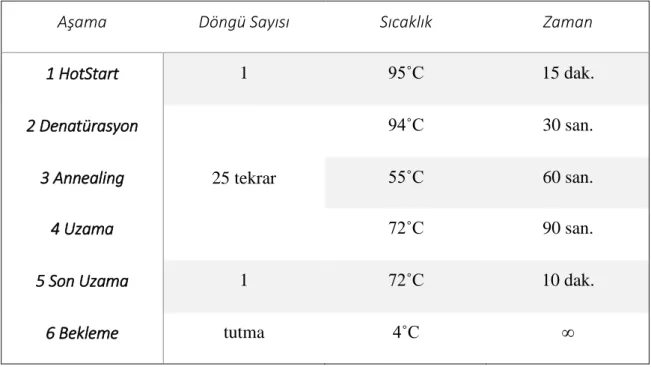 Tablo 8. ChromoQuant AZF PCR kiti için uygulanan PCR protokolünün aşamaları 