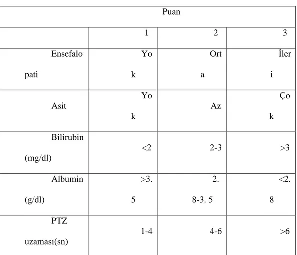 Tablo 6. Child-Pugh skorlama sistemi  Puan 1  2  3  Ensefalo pati  Yok  Orta  İleri  Asit  Yo k  Az  Çok  Bilirubin (mg/dl)  &lt;2  2-3  &gt;3  Albumin (g/dl)  &gt;3