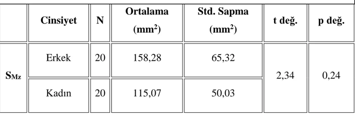 Tablo  17:  M.  zygomaticus  major’un  kadrandaki  yüzey  alanının  erkek-kadın  arasındaki farklılığının istatistiksel analizi 