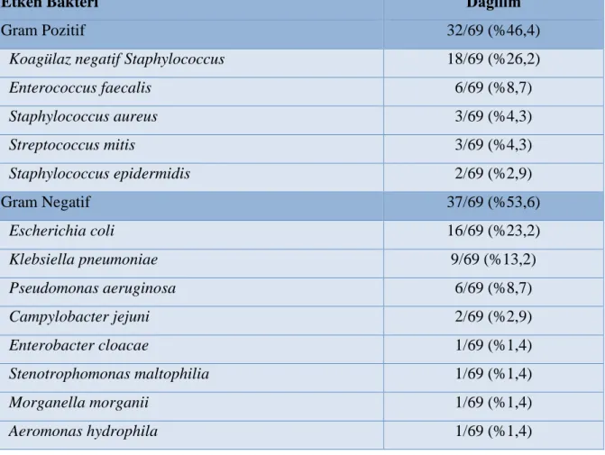 Tablo 8. Bakteriyel etkenler in dağılımı (n=69) 