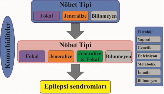 Şekil 1. ILAE 2017 ye göre epilepsi sınıflandırması 