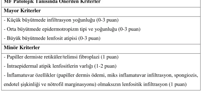 Tablo 5: MF patolojik tanısında önerilen tanısal terminoloji (75)  MF Patolojik Tanısında Önerilen Tanısal Terminoloji 