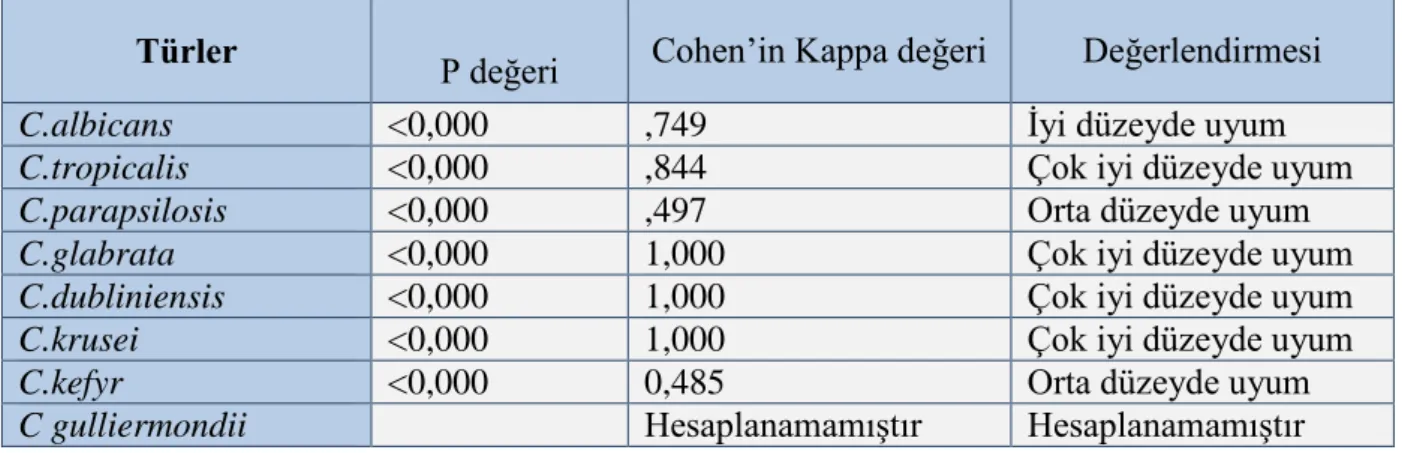 Tablo  3.Dalmau  plak  ve MALDI-TOF  MS ile  LF-MS  yöntemi  arasında  belirlenmiş  türlerin  Cohen’in kappa değeri ve uyum ölçümleri