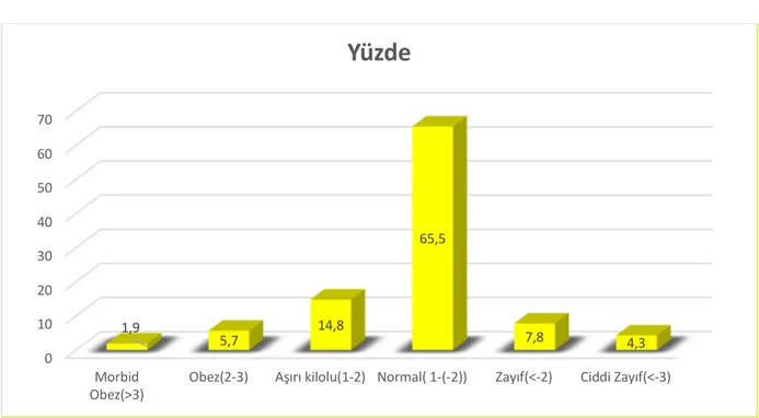 Şekil 13.  Hastaların giriş Vücut Kitle İndeksi’ne göre malnütrisyon dağılımı 