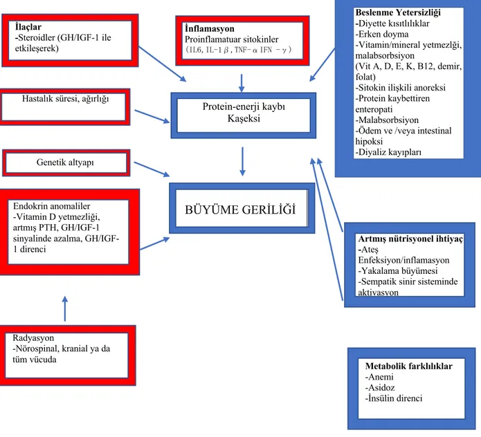 Şekil 4. Kronik hastalıklarda malnütrisyon sebeplerini gösteren akış şeması 134