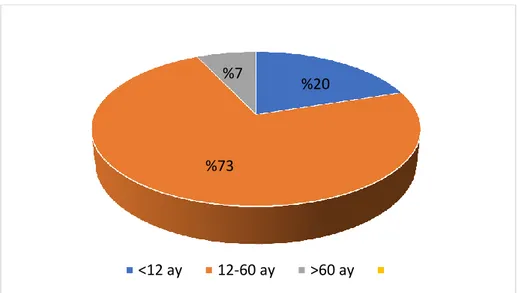 Grafik 2: Hastaların yaş dağılımları 38% 62%  Kız Erkek&lt;12 ay12-60 ay&gt;60 ay%20 %73 %7 