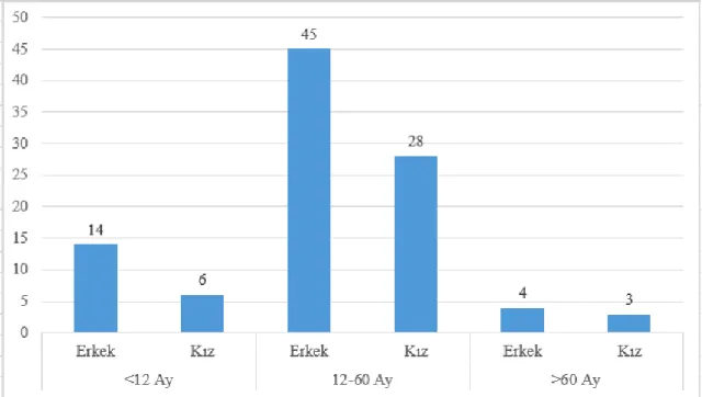Grafik 3: Yaşlara göre cinsiyet dağılımı 