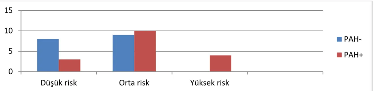 Grafik 10: Compera risk sınıflamasına göre PAH+ ve PAH- olan olguların dağılımı. PAH+ 