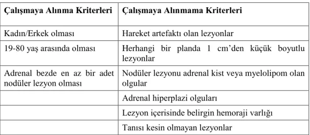 Tablo 4. Çalışmaya Alınma ve Alınmama Kriterleri 