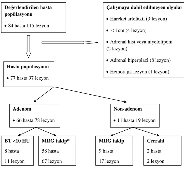 Şekil 1. Çalışmada değerlendirilen hastaların  akış şeması. (*) En az 12 aylık MRG  takibinde, herhangi bir plandaki boyutunda %10’dan fazla artış görülmeyen lezyon