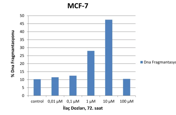 Grafik  5:  Palbosiklib’in  MCF-7  Hücre  Hattında  Gözlenen  %DNA  Fragmantasyonu Oranları 05101520253035404550 control 0,01 μM 0,1 μM 1 μM 10 μM 100 μM% Dna Fragmantasyonu