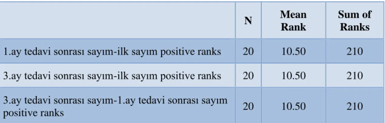 Grafik 1. Şematik değerlendirilmeler 
