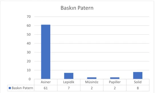 Grafik 4: Baskın patern sağkalım grafiği.  