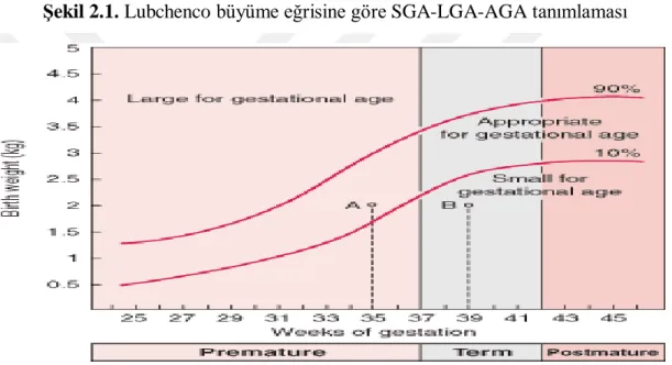 Şekil 2.1. Lubchenco büyüme eğrisine göre SGA-LGA-AGA tanımlaması 