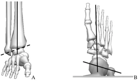 Şekil  2.5  A.  Ayak  bileği  eklemi  kompleksi  için  sagittal  ve  frontal  düzlem  eksenini  gösteren  şema
