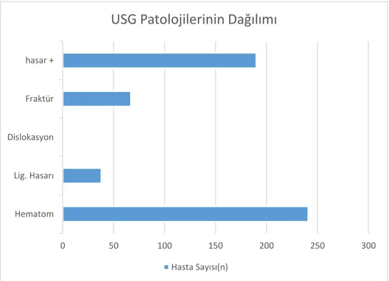 Grafik 4. USG’de Tespit Edilen Patolojilerin Dağılımı 