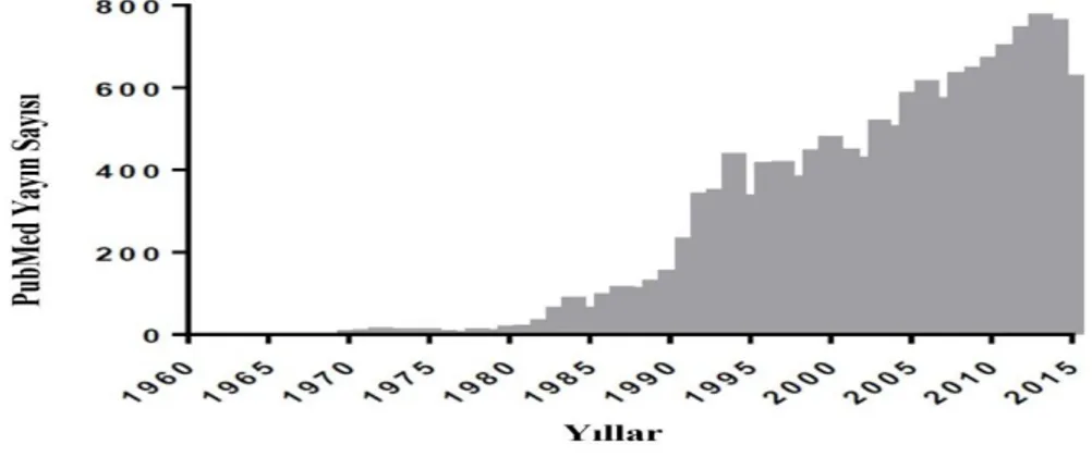 Şekil 1: Yıllara göre İVİG üzerine PubMed üzerinden yayınlanan makale sayısı 