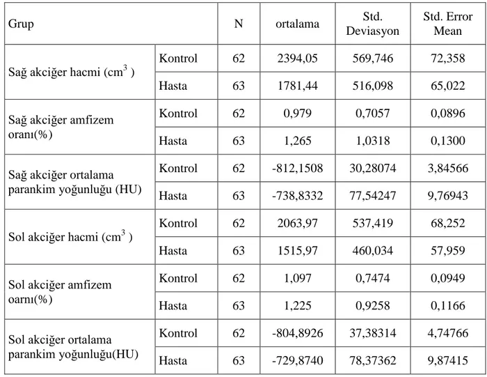 Tablo 1. Kantitatif-volümetrik BT indeksleri ortalama değerleri ( hasta ve kontrol grubu ) 