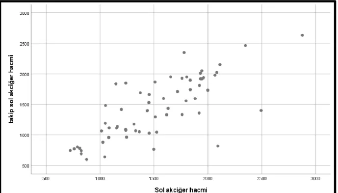 Grafik 5 : sol akciğer hacmi ilk ve takip BT arasındaki korelasyon . 