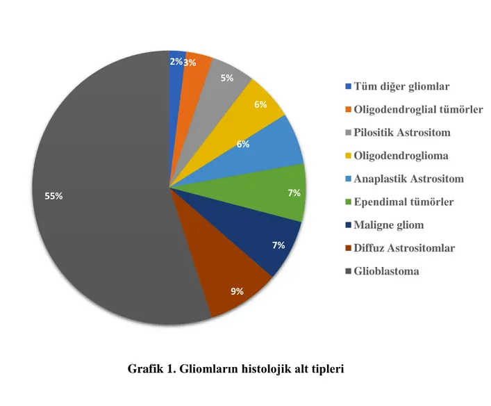 Grafik 1. Gliomların histolojik alt tipleri 2% 3% 5% 6% 6% 7% 7% 9% 55%  Tüm diğer gliomlar Oligodendroglial tümörlerPilositik AstrositomOligodendrogliomaAnaplastik AstrositomEpendimal tümörlerMaligne gliomDiffuz AstrositomlarGlioblastoma
